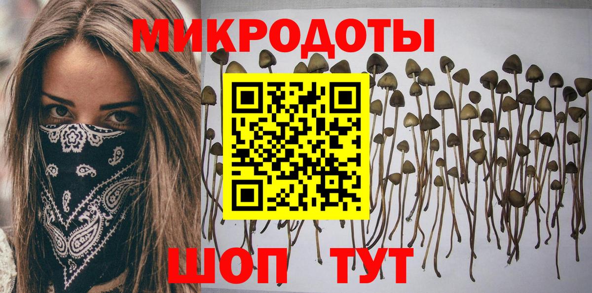 где продают наркотики  Псилоцибиновые грибы мицелий  Вход с VPN  Жигулёвск 